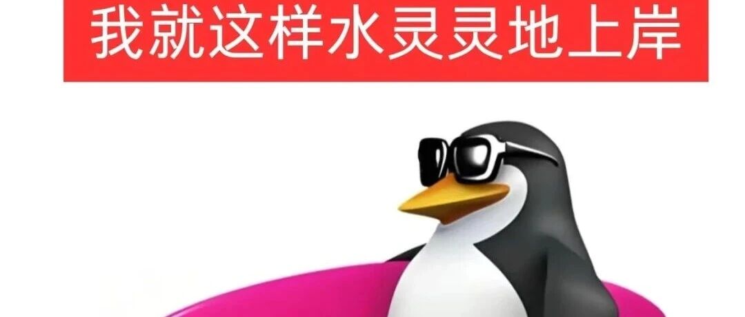 考研鹅：专属于考研党的高雅&ldquo;鹅士&rdquo;表情！