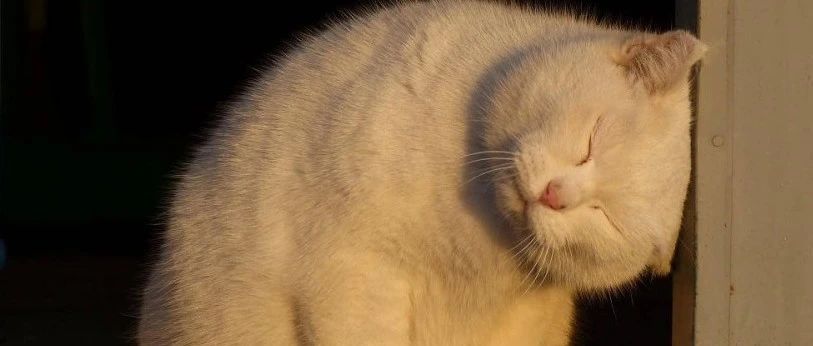 出现这些无意识的动作，身体在发出警告：你该休息了！