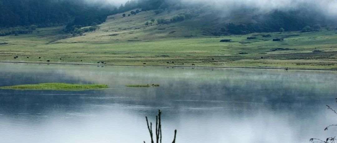 复旦大学非全日制MBA，到底是什么水平？