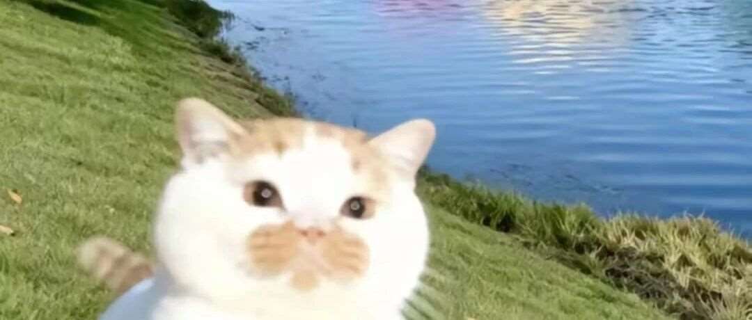 考研进入决赛圈：收缩战线，抓住每科主要得分点！